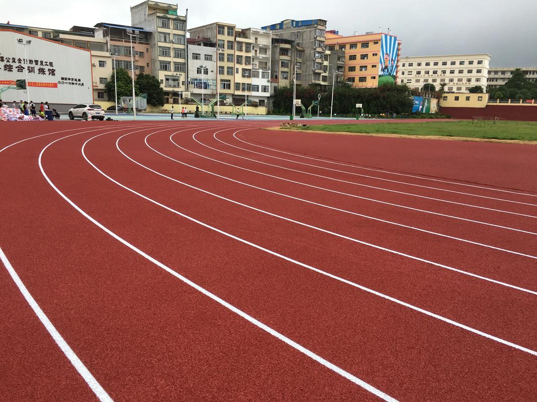 林芝地区EPDM颗粒塑胶跑道材料 - 推荐